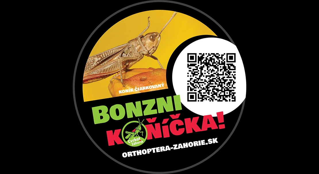 Bonzni koňíčka!