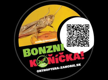 Bonzni koňíčka!